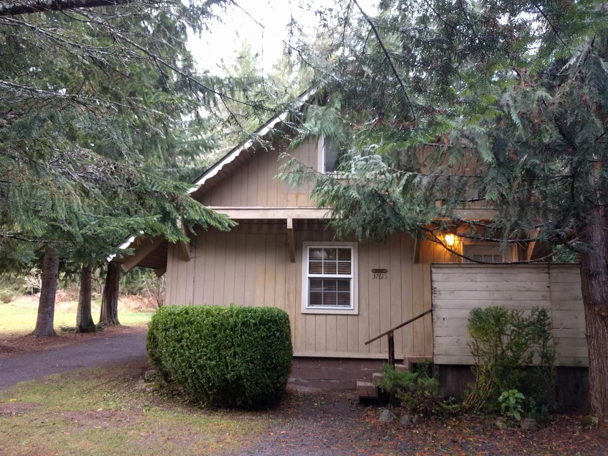 Chalet At Mt. Rainier Βίλα Ashford Εξωτερικό φωτογραφία