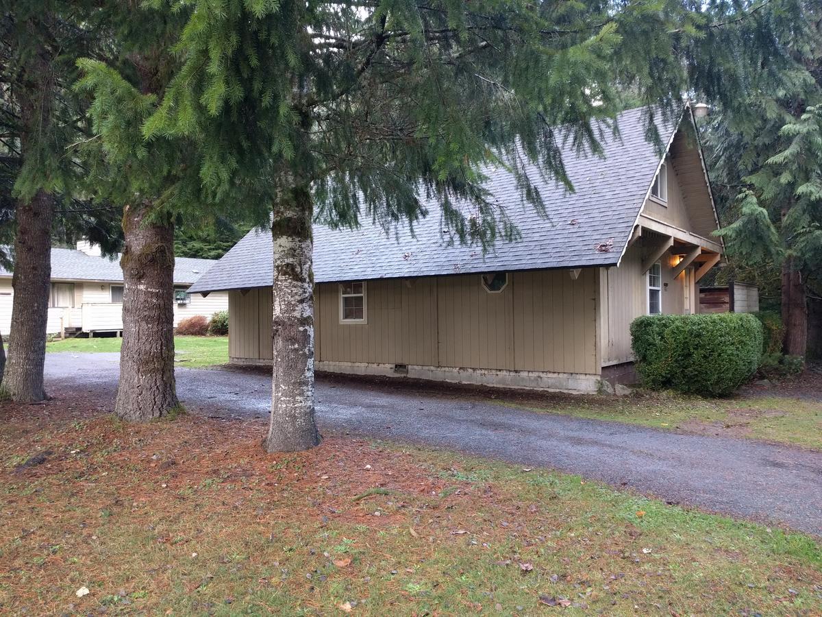 Chalet At Mt. Rainier Βίλα Ashford Εξωτερικό φωτογραφία